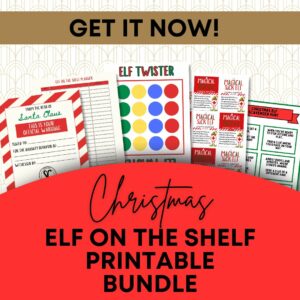 elf on the shelf bundle